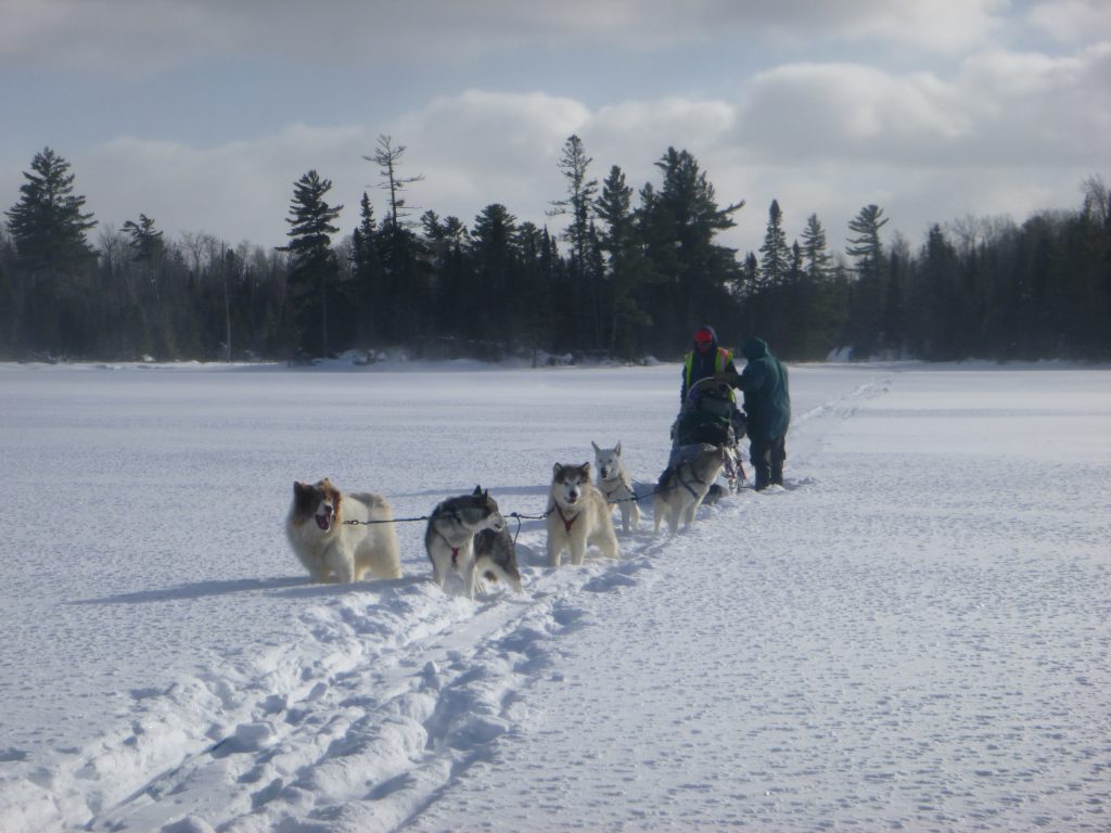 VOBS Dog Sledding Adventure